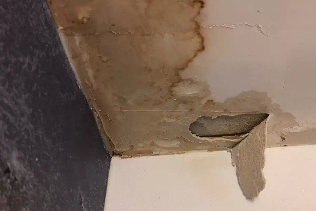 Slab Leak Warning Signs: How to Spot Problems Before They Get Worse